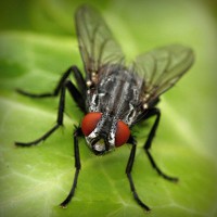 /album/askilderbrees/photolia-a01-jpg/