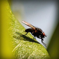 /album/askilderbrees/photolia-a04-jpg/
