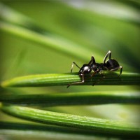 /album/askilderbrees/photolia-a05-jpg/