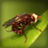 /album/askilderbrees/photolia-a06-jpg/