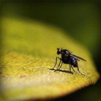 /album/askilderbrees/photolia-a07-jpg/